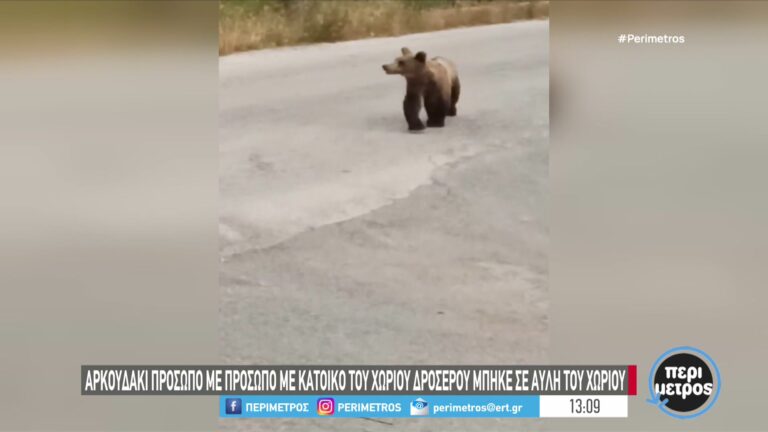 Τρίκαλα: Διήμερο εκδηλώσεων στον Ασπροπόταμο για την αρμονική συνύπαρξη ανθρώπου και καφέ αρκούδας