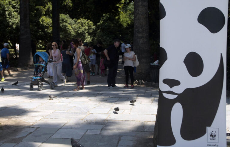 WWF Ελλάς: Δίνοντας ξανά ζωή στο καμένο δάσος