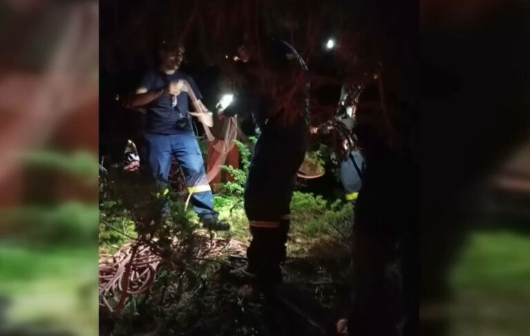 Δράμα-Επίθεση αρκούδας σε ορειβάτες: «Αυτό που συνέβη είναι τραγικό, μας έχει συγκλονίσει όλους»