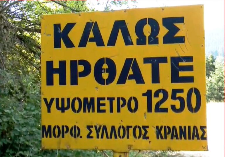 Η ξύλινη αρκούδα στην Κρανιά Ασπροποτάμου 