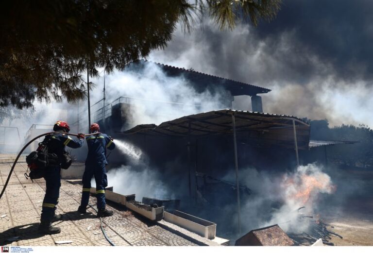Πυρκαγιά στην Παλαιά Φώκαια – Τι είπε η αντιπεριφερειάρχης Αττικής στο ΕΡΤΝews
