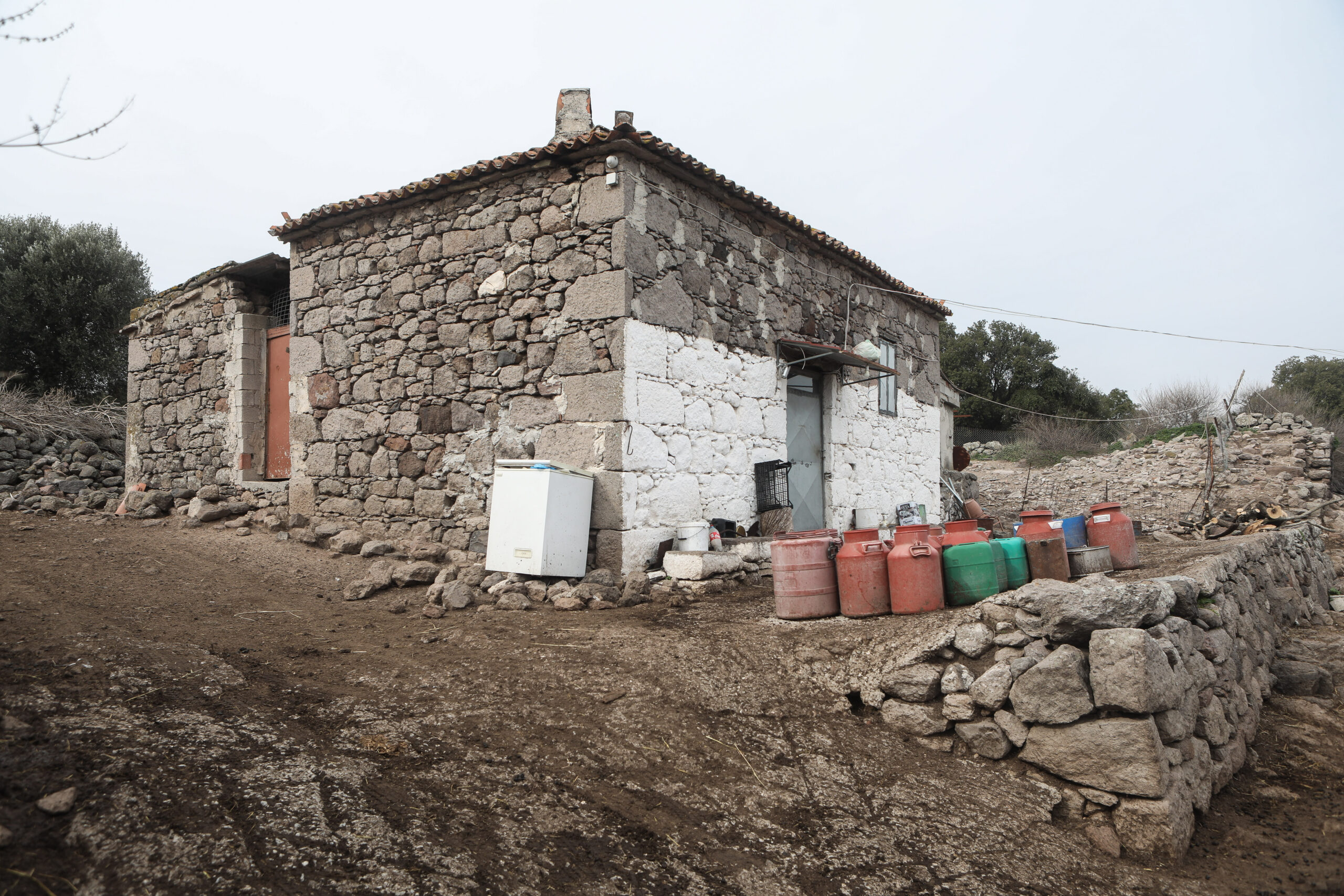 Λάρισα: Νοσεί η πρώτη γιατρός που εξέτασε τον κτηνοτρόφο – Δείγμα από ζώα και έντομα πήρε ο ΕΟΔΥ