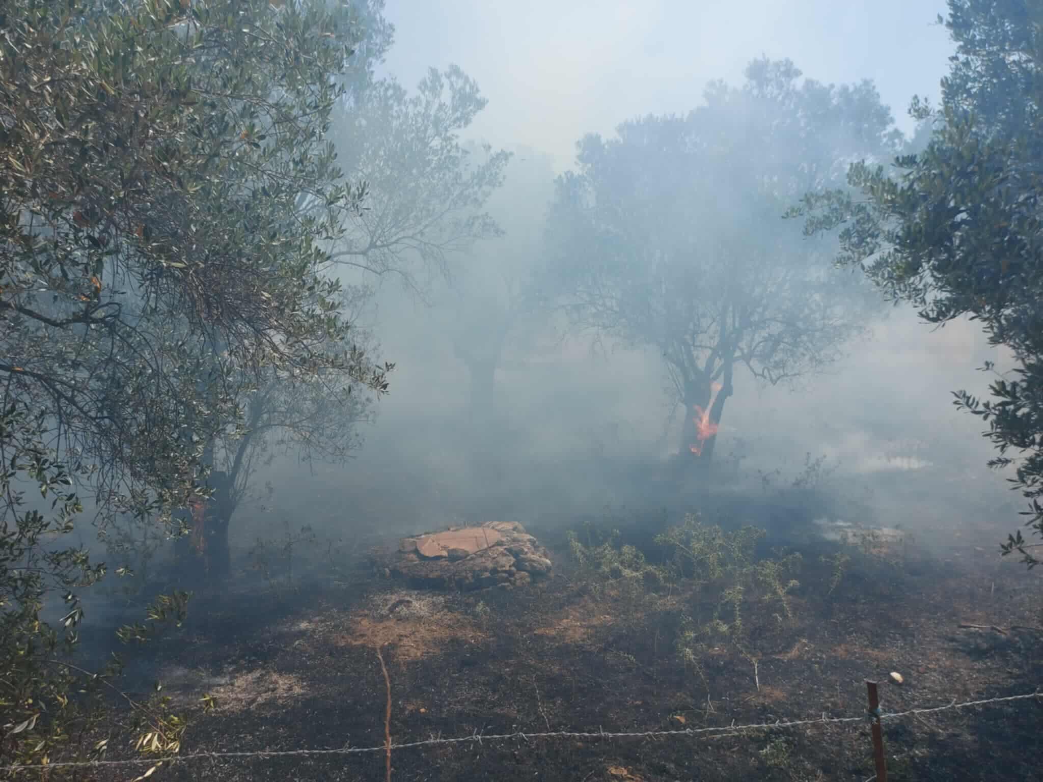 Πυρκαγιά σε αγροτική περιοχή στην Αγία Παρασκευή Λέσβου – Κινητοποίηση της Πυροσβεστικής (εικόνες)