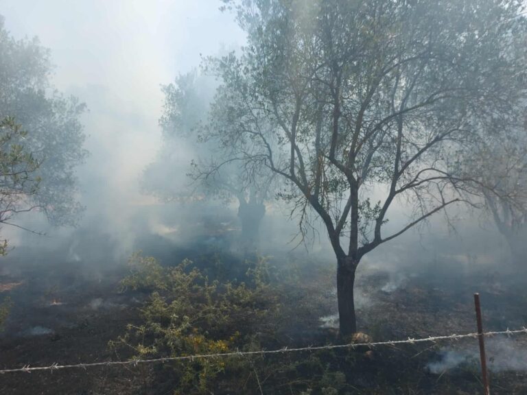 Περιορίστηκε η φωτιά έξω από την Αγία Παρασκευή Λέσβου – Άμεση η επέμβαση των πυροσβεστικών δυνάμεων