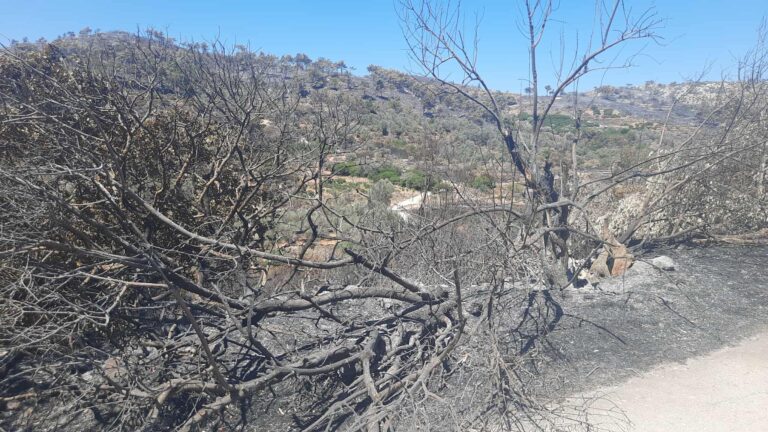 Χίος: Καταδικάστηκε 31χρονη για εμπρησμό από αμέλεια στα Λεπτόποδα