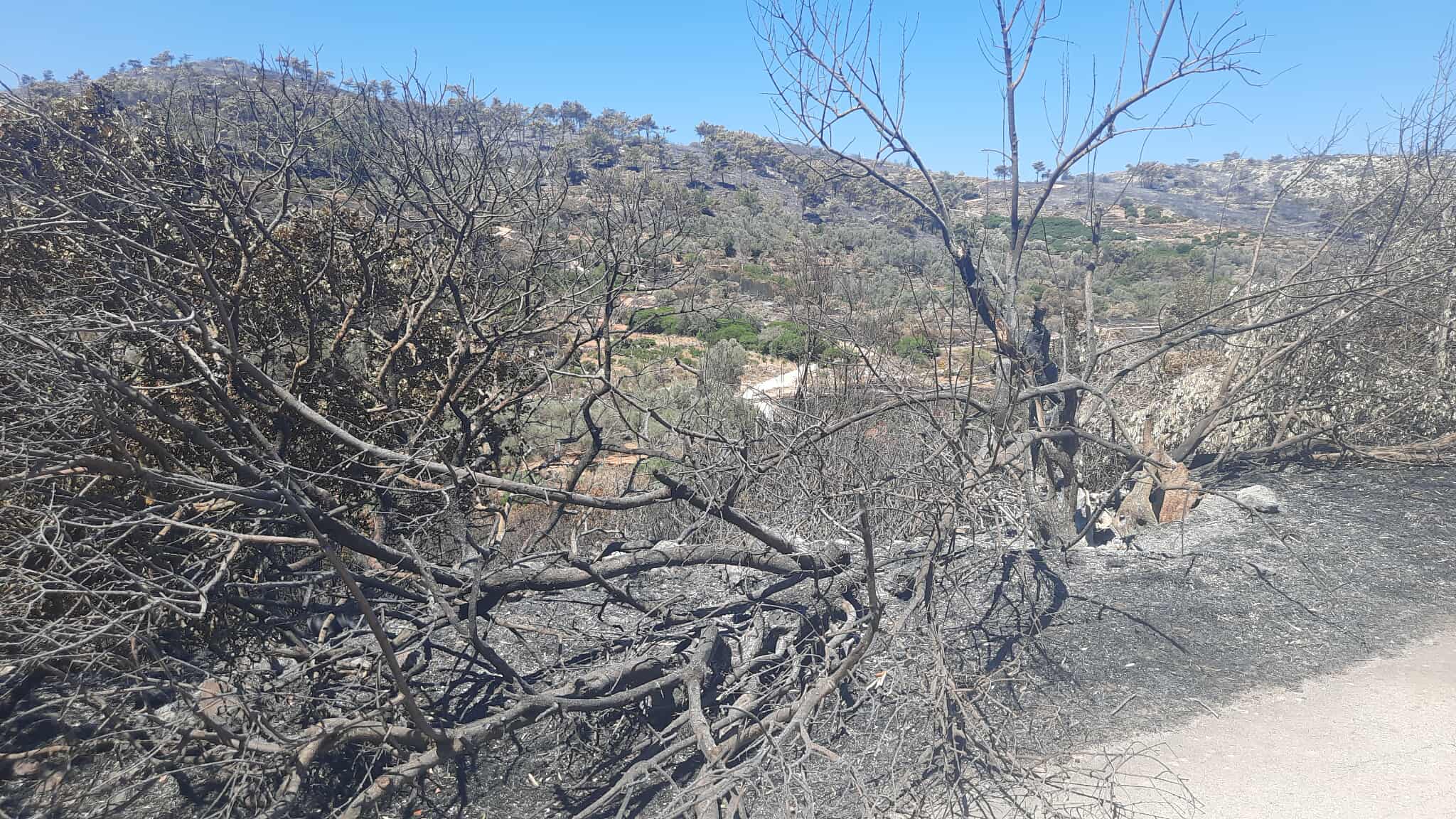 Χίος: Καταδικάστηκε 31χρονη για εμπρησμό από αμέλεια στα Λεπτόποδα
