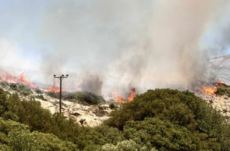 Πυρκαγιά σε δασική έκταση στη Νάξο