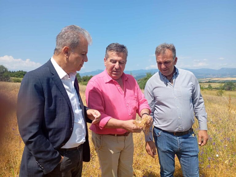 Μεγάλες καταστροφές σε καλλιέργειες από το χαλάζι στο Τσοτύλι – Αυτοψία απο τον Περιφερειάρχη Δυτικής Μακεδονίας