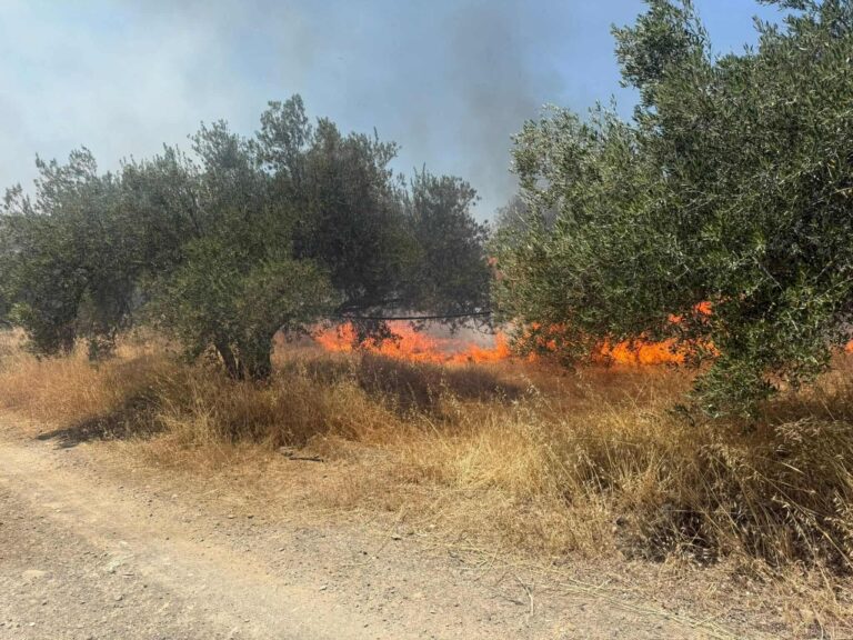 Ηράκλειο: Πυρκαγιά κοντά στον Λέντα-Επιχειρούν ελικόπτερα