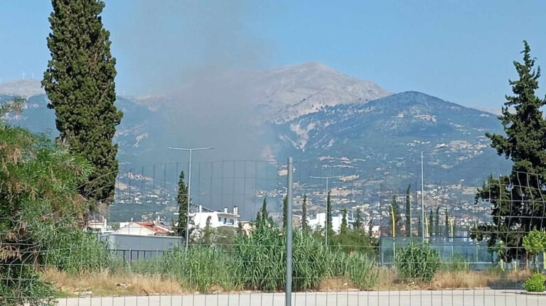 Αχαΐα: Μεγάλη κινητοποίηση της Πυροσβεστικής για πυρκαγιές σε Ριγανόκαμπο και Ερύμανθο