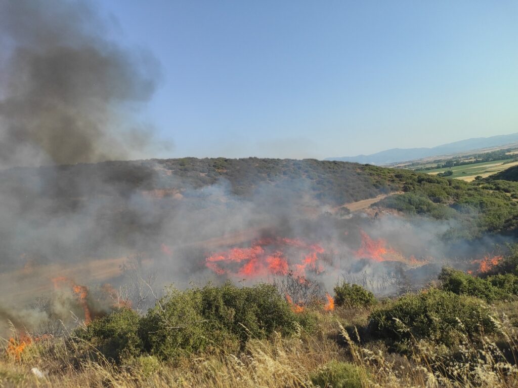 Ροδόπη: Εν τη γενέσει τους κατασβέστηκαν δύο εστίες πυρκαγιάς