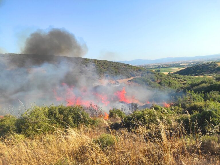 Ροδόπη: Εν τη γενέσει τους κατασβέστηκαν δύο εστίες πυρκαγιάς