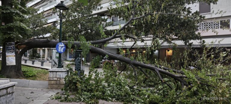 Βόλος: Ξαφνική ανεμοθύελλα ξερίζωσε δέντρα και προκάλεσε ζημιές σε οχήματα