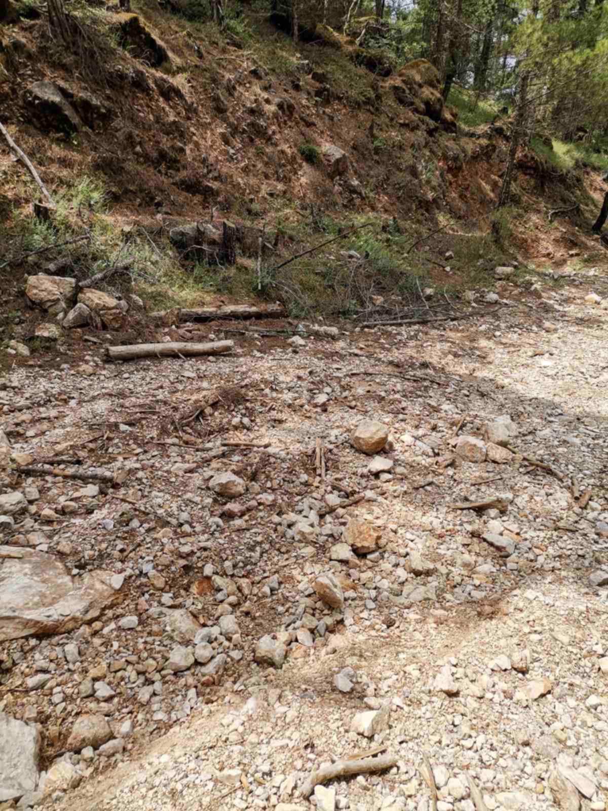 Πανσαμιακός αγροτικός σύλλογος: Ζητούν παρεμβάσεις στο αγροτικό δίκτυο