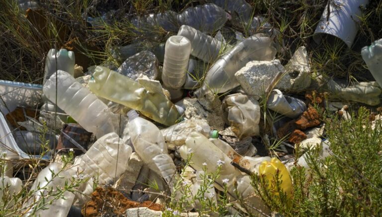 Υγεία: Μελέτη συνδέει την κατανάλωση νανοπλαστικών με αλλαγές στον μεταβολισμό και την ηπατική λειτουργία