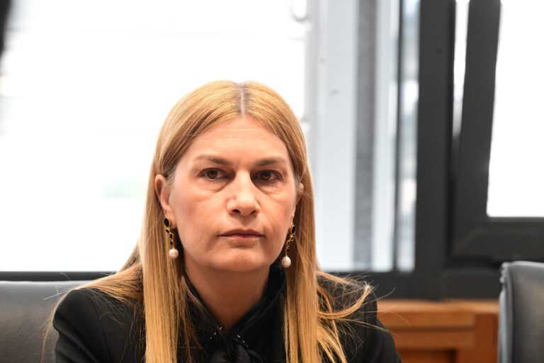 Σ. Βολουδάκη στο Πρώτο: Όποιος μπαίνει παράνομα στη χώρα πρέπει να αντιμετωπίζει τις ανάλογες συνέπειες (audio)