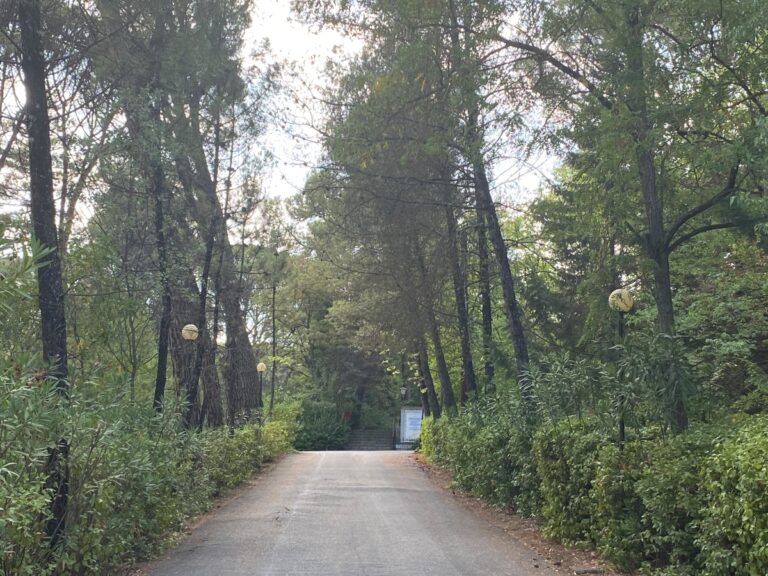 Υψηλός κίνδυνος πυρκαγιάς σε Αργολίδα, Κορινθία, νότια Λακωνία