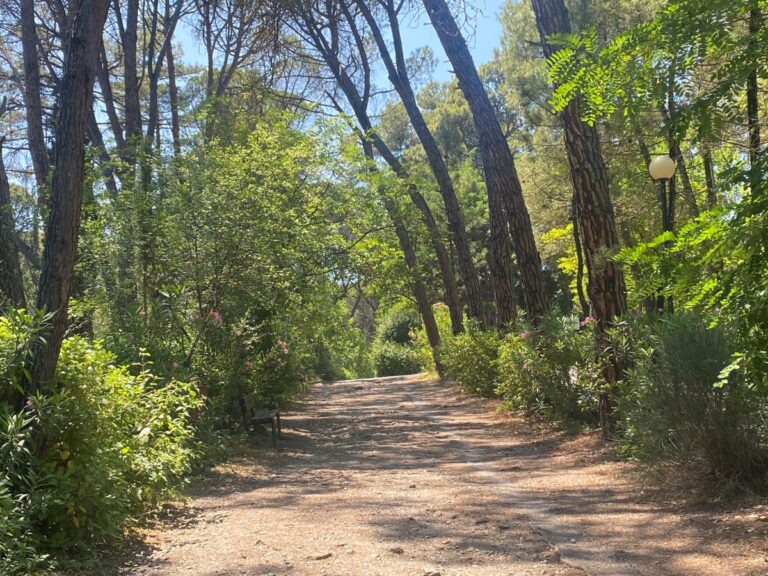 Πολύ υψηλός κίνδυνος πυρκαγιάς σε νότια Λακωνία, Ελαφόνησο, Κύθηρα και παραθαλάσσια Αργολίδα