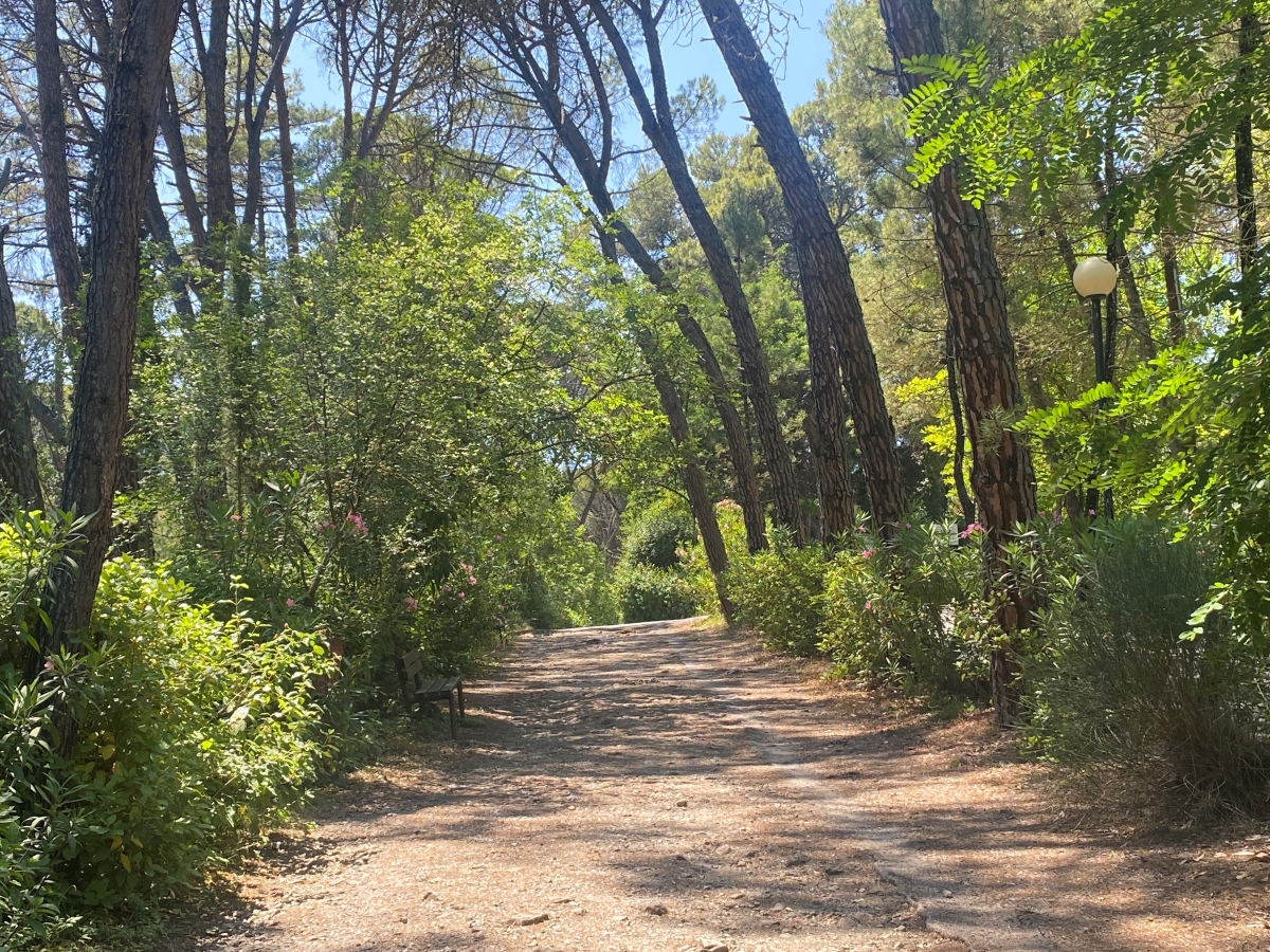 Πολύ υψηλός κίνδυνος πυρκαγιάς σε νότια Λακωνία, Ελαφόνησο, Κύθηρα και παραθαλάσσια Αργολίδα