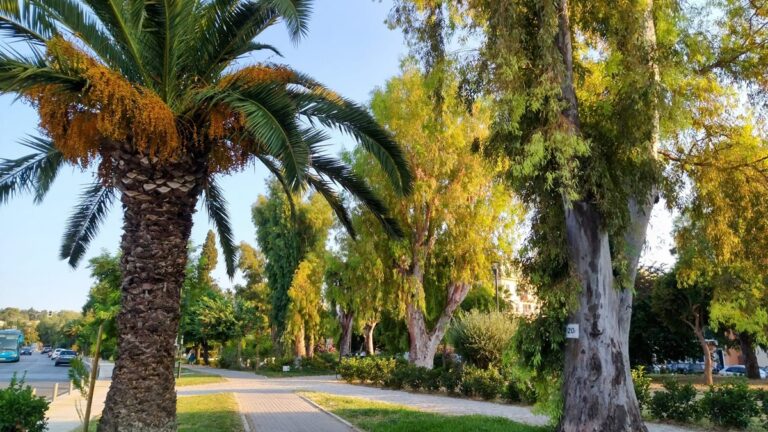 Κέρκυρα: Πρόσκληση συνάντησης με βουλευτές και νομαρχιακές επιτροπές από τον Πολιτιστικό Σύλλογο Γαρίτσας για το Άλσος