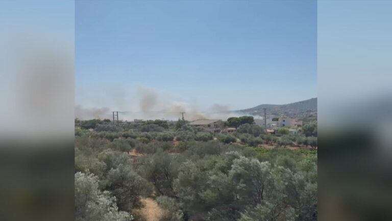 Υπό έλεγχο η φωτιά σε Ανάβυσσο και Παλαιά Φώκαια – Απειλήθηκαν σπίτια