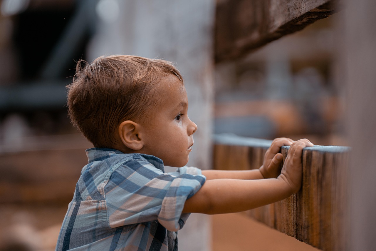 boy-8209561_1280