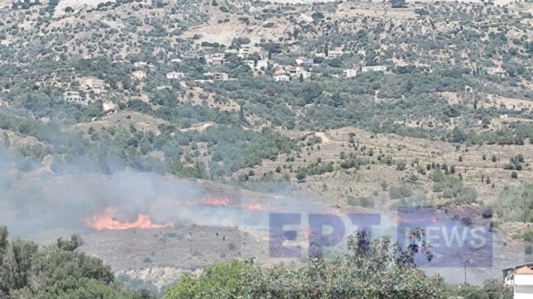 Δικογραφία για εμπρησμό από πρόθεση και κατ’ εξακολούθηση κατά άνδρα για τις πυρκαγιές στη Χίο