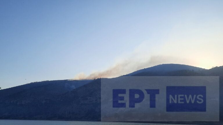 Χίος: Μεγάλη αναζωπύρωση στο βουνό Προβατά