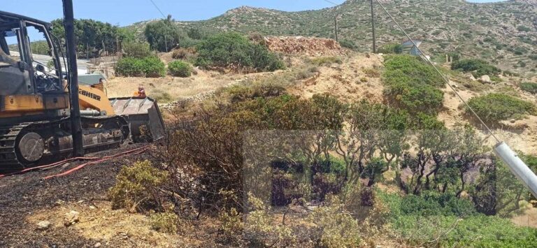 Χίος: Η πυροσβεστική πρόλαβε φωτιά στην περιοχή Βρουλίδια