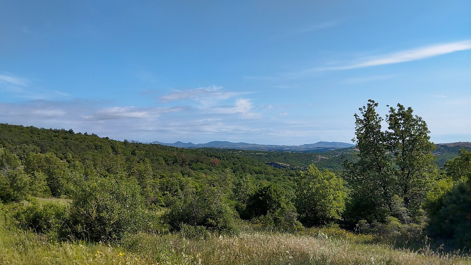 Αλεξανδρούπολη: 115.495 ευρώ για αντιπυρική θωράκιση 17 οικισμών- Χρηματοδότηση από το Πράσινο Ταμείο