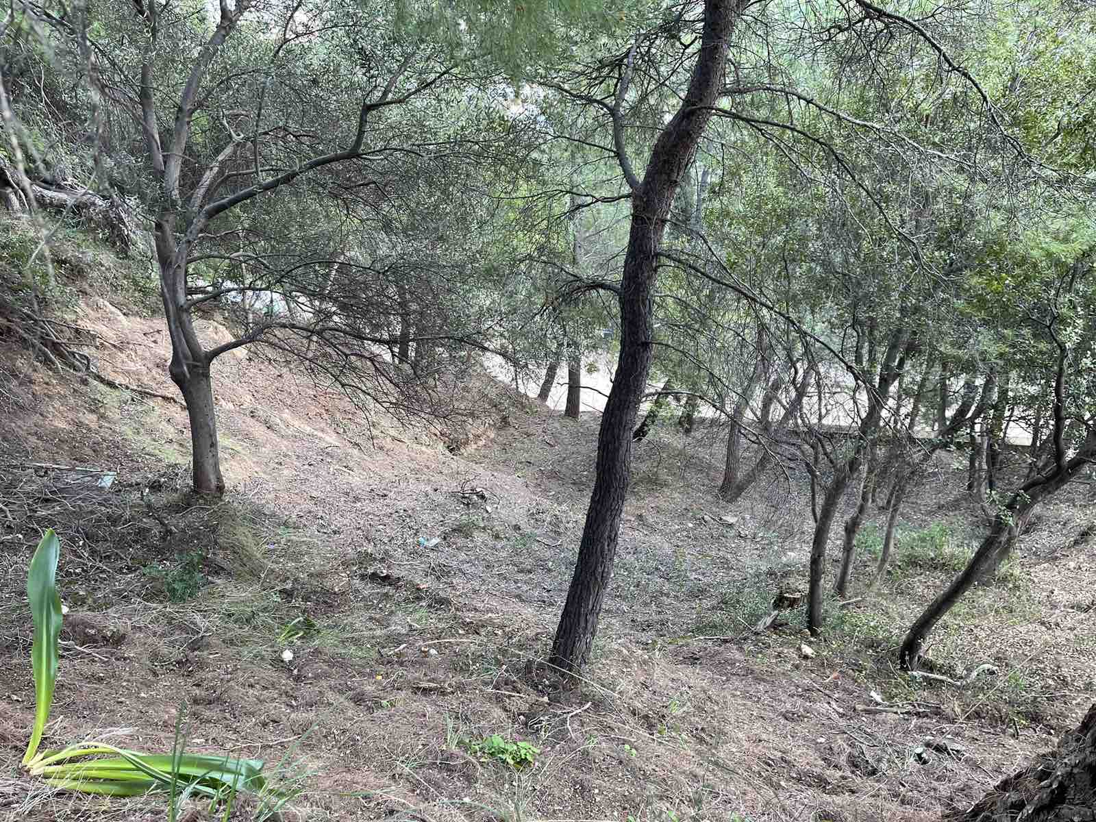 Χαλκιδική: Παρατείνεται έως 18/8 η απαγόρευση κυκλοφορίας λόγω πολύ υψηλού κινδύνου δασικής πυρκαγιάς