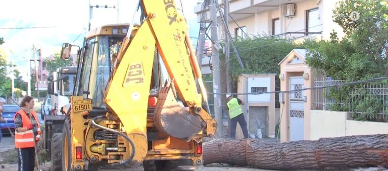 Πτώση δέντρου σε αυτοκίνητο στην Κηφισιά