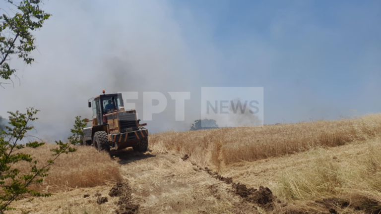 Διδυμότειχο: Έσβησε η πυρκαγιά σε αγροτική περιοχή του οικισμού Ασημενίου