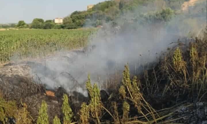Διδυμότειχο: Άμεσα αντιμετωπίστηκε η φωτιά στον κάμπο Πυθίου – Έκαψε αγροτικές καλλιέργειες