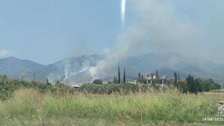 Πυρκαγιά σε έκταση με χαμηλή βλάστηση στην Χωριστή Δράμας