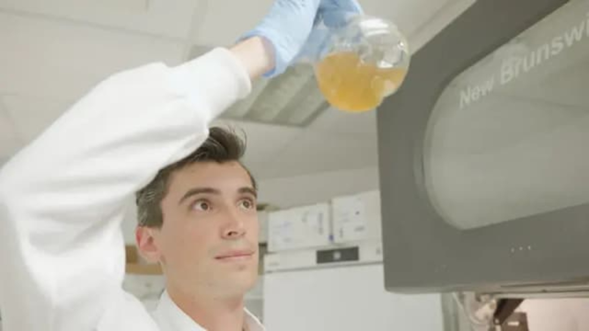 Νέα μέθοδος παραγωγής φαρμάκων μετατρέπει τα πλαστικά απόβλητα σε παρακεταμόλη μέσα σε 24 ώρες