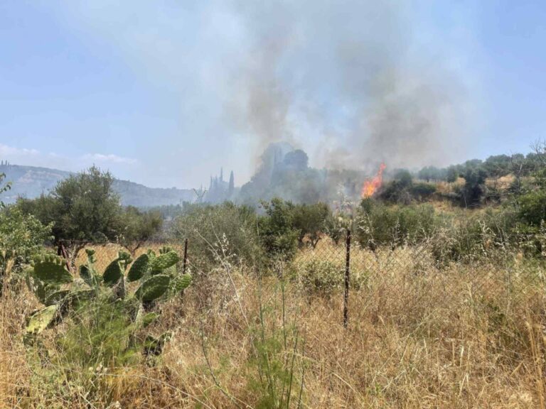 Χωρίς ενεργό μέτωπο η πυρκαγιά στο Χαρακοπιό Μεσσηνίας