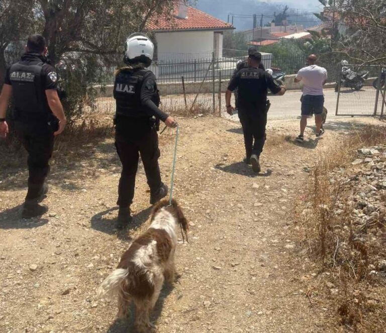 Φωτιά τώρα: Συνδρομή από την ΕΛΑΣ σε 40 κατοίκους στην Παλαιά Φώκαια για απομάκρυνση (video)