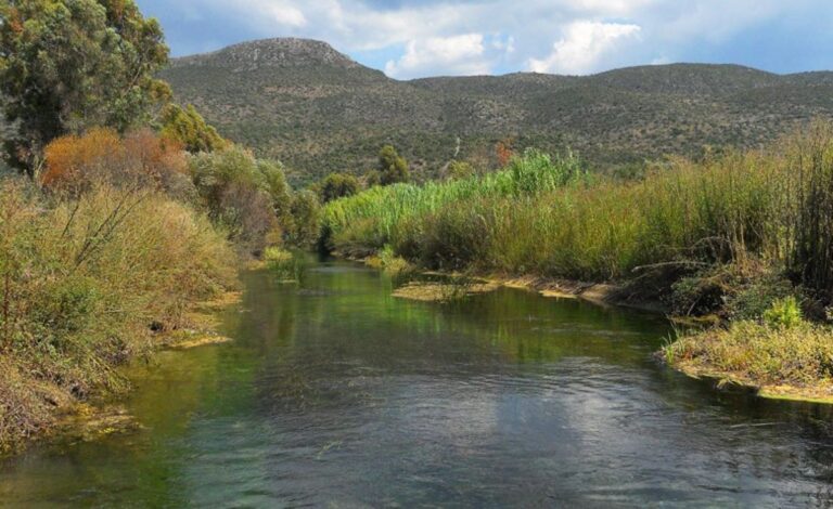 Μεσσηνία: Ήπια πεζοπορία ΕΟΣ Καλαμάτας στον Πάμισο