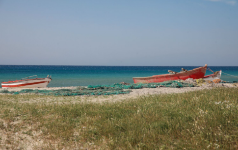Αχλαδοχώρι Πέλλας: Διασώζει βελέντζες και με τις παρεμβάσεις του, τις δίνει μια δεύτερη ευκαιρία «ζωής»
