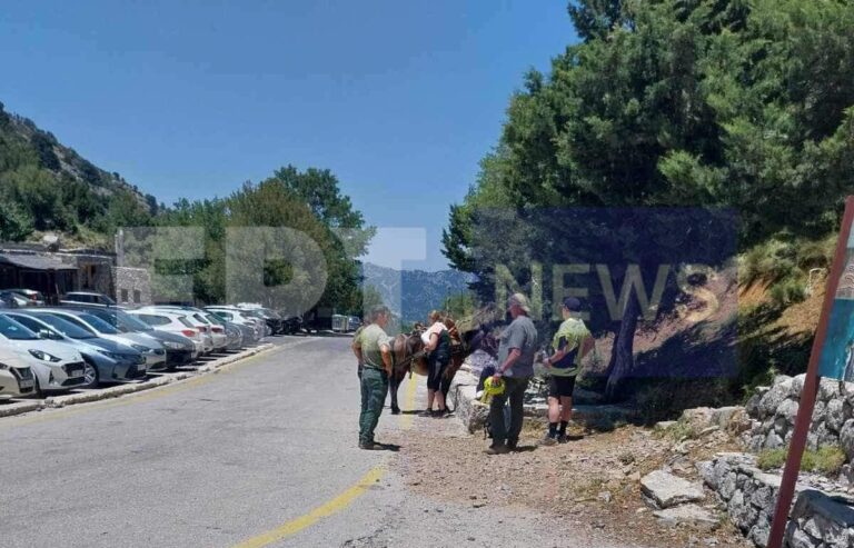 Τουρίστρια τραυματίστηκε στο φαράγγι της Σαμαριάς