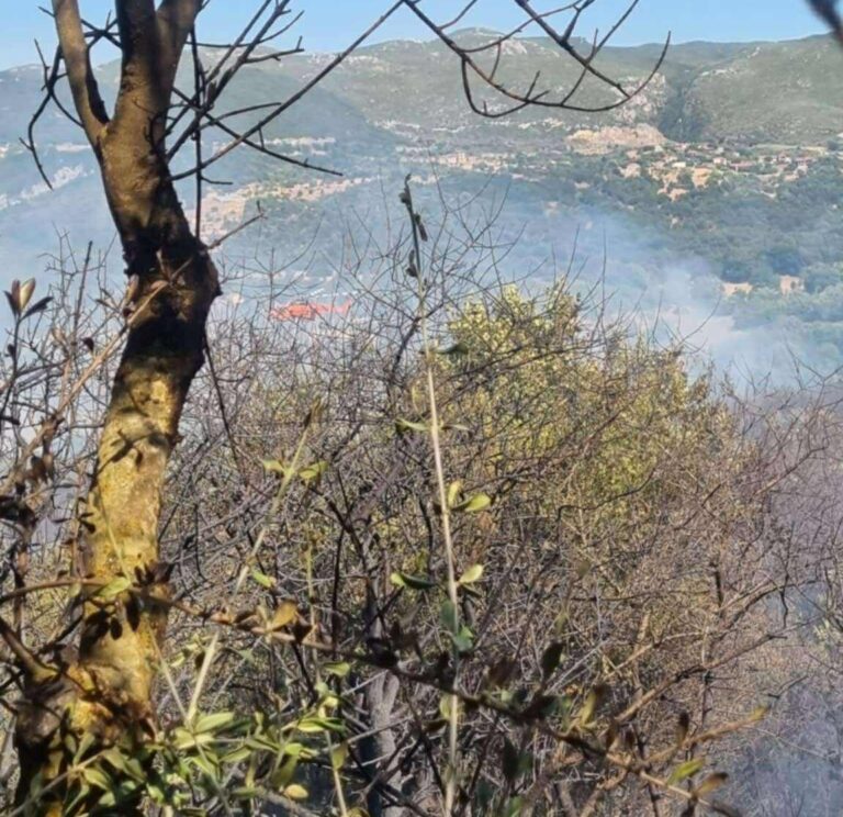 Πυρκαγιά εκδηλώθηκε στην Βελιγοστή Μεγαλόπολης – Επιχειρούν και εναέρια μέσα