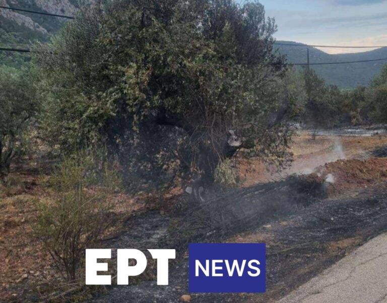 Βελτιωμένη η εικόνα της φωτιάς στα Άνω Καρνεζαίικα Αργολίδας