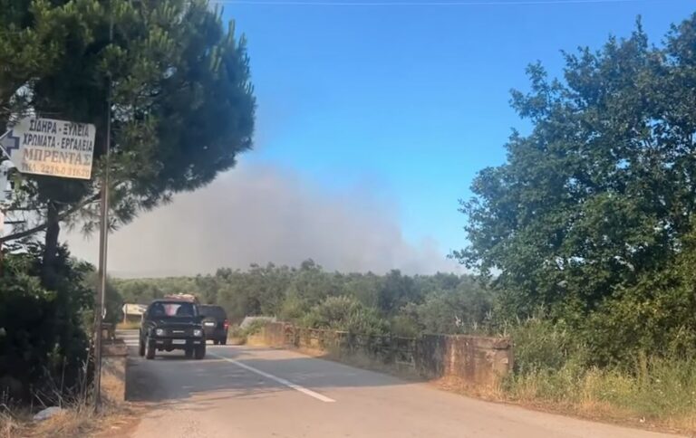 Χωρίς ενεργό μέτωπο η φωτιά στην περιοχή Αχλάδι Στυλίδας – Είχε ηχήσει το 112