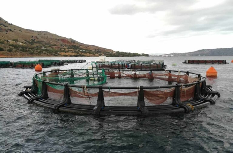 Χανιά: Κλοπή ψαριών και καταστροφή εξοπλισμού από μονάδα του ΕΛΚΕΘΕ στη Σούδα