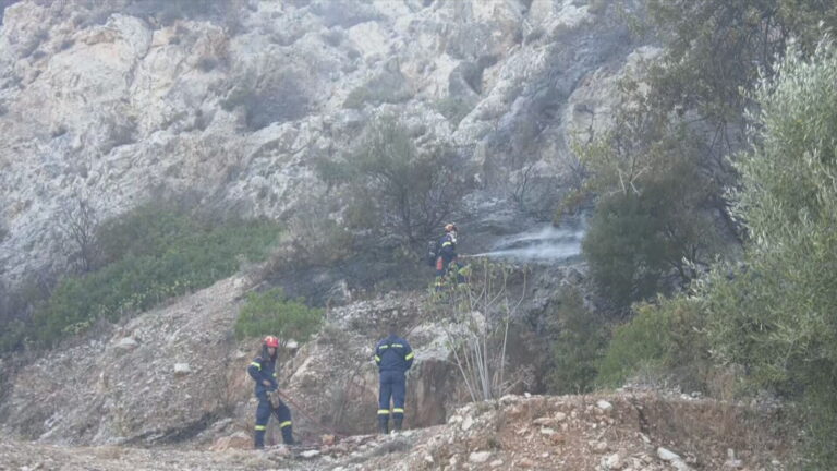 Πυρκαγιά στο Kαραβοστάσι Μονεμβασιάς- Μήνυμα από το 112 για εκκένωση – Επιχειρούν πυροσβεστικές δυνάμεις
