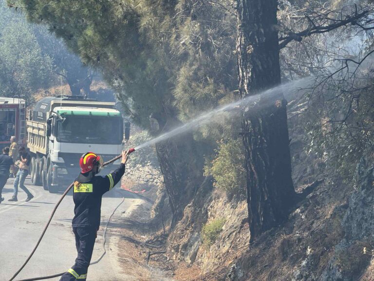 Λέσβος: Σε εξέλιξη φωτιά στον Παλαιόκηπο Γέρας – Μήνυμα από το 112