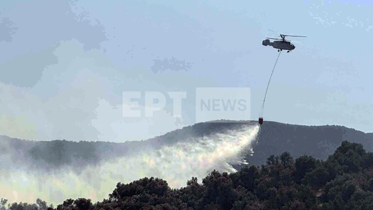 Σε ύφεση η πυρκαγιά στην Γέρα Λέσβου