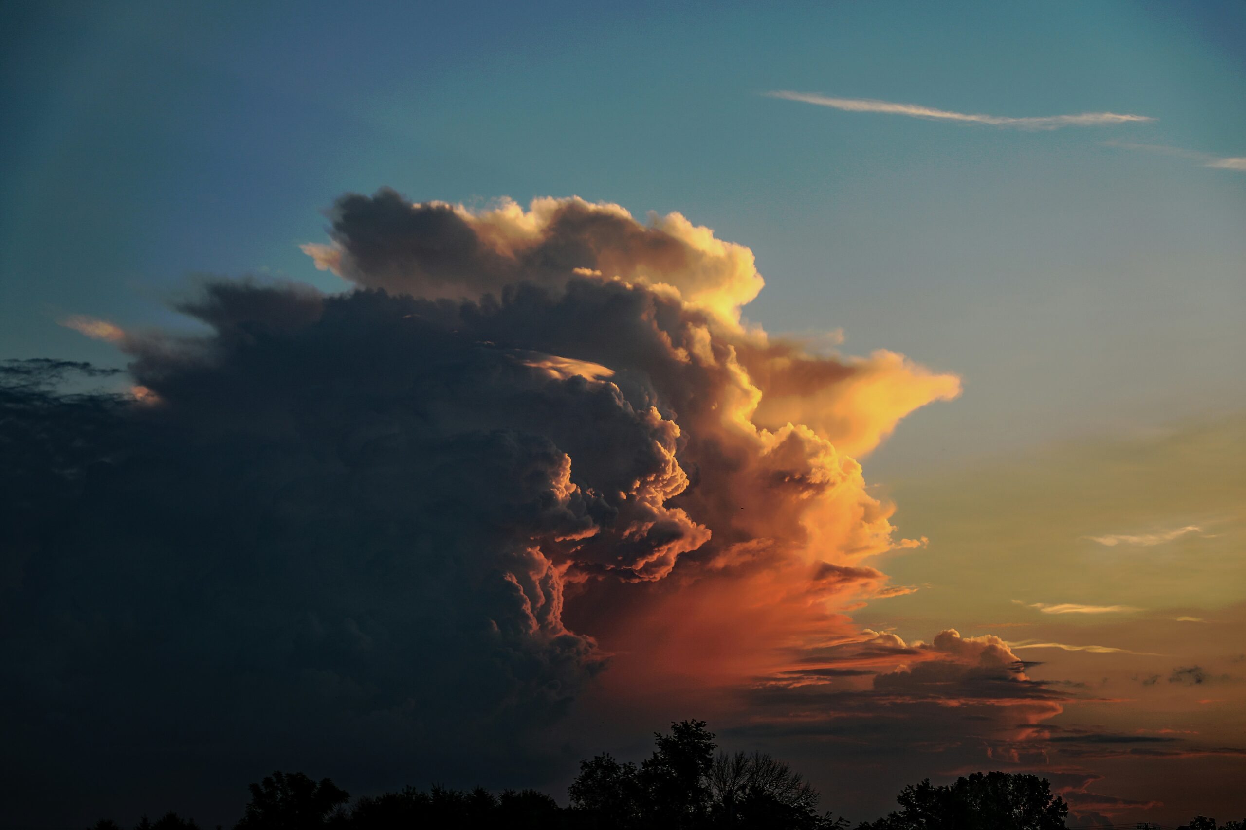 michael-diane-weidner-u8x0hcv2x1y-unsplash
