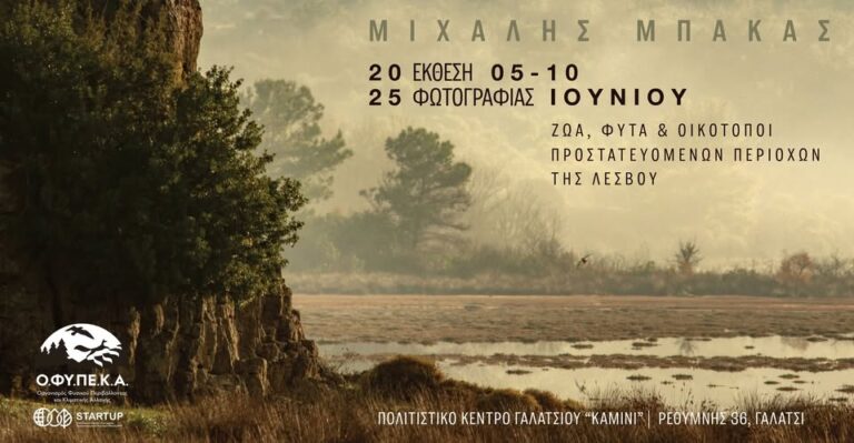 Έκθεση φωτογραφίας του Μ. Μπάκα:  «Φωτογραφίζω τις ομορφιές της Λέσβου για να δείξω ότι αξίζει προστασίας»